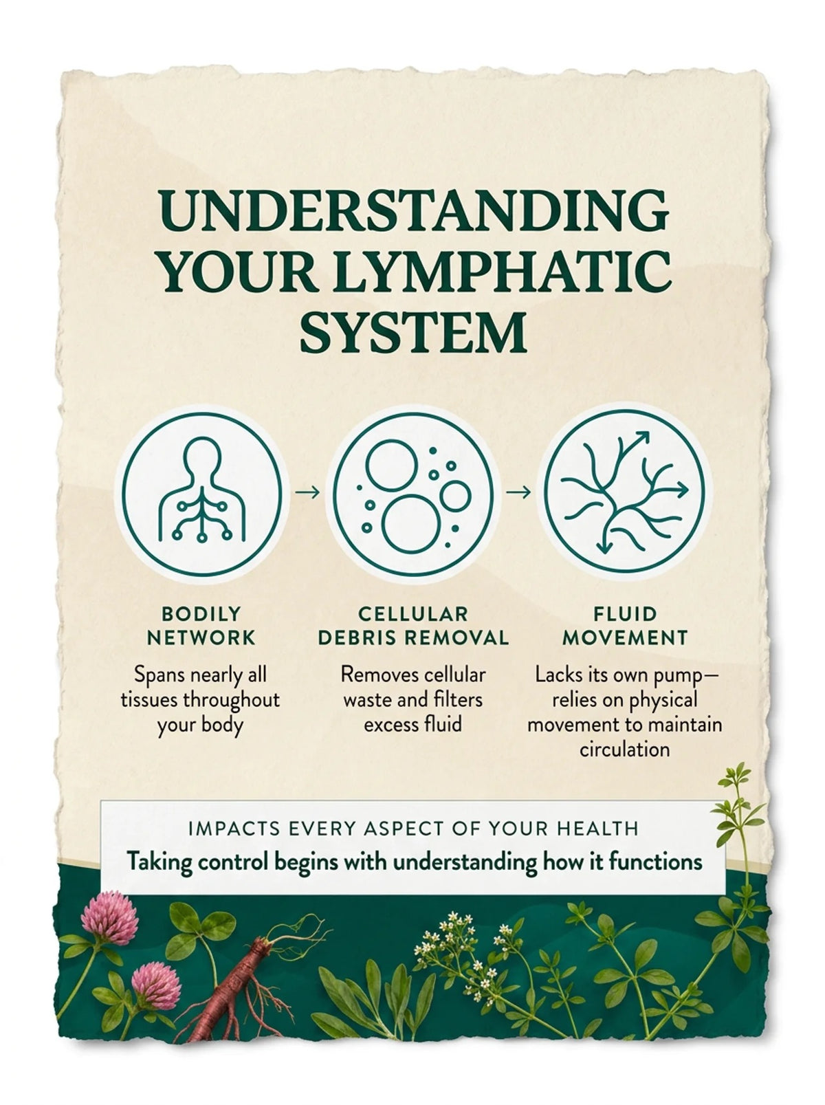 Virelle Lymphatic Drainage Drops